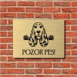 Schild Vorsicht Hund Englischer Cocker Spaniel