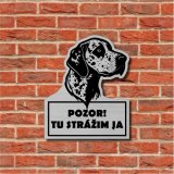 Warnschild Vorsicht Hund Dalmatiner 2