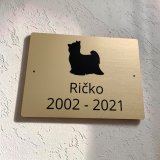 Schild Vorsicht Hund Yorkshire Terrier