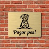 Schild Vorsicht Hund Irischer Wolfshund