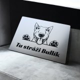 Schild Vorsicht Hund Bullterrier