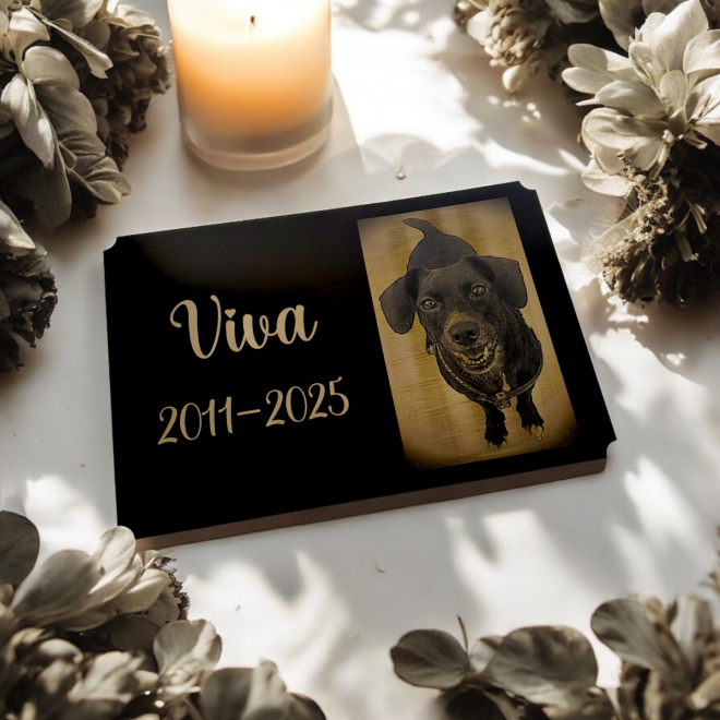 Grabtafel für Tiere V2