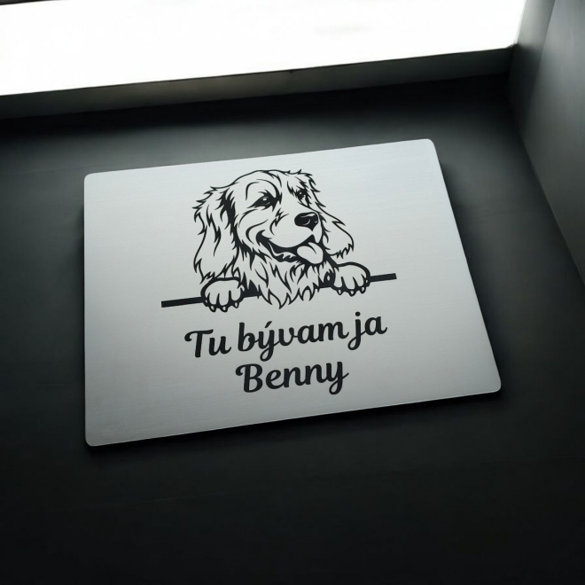 Schild Vorsicht Hund Golden Retriever cute
