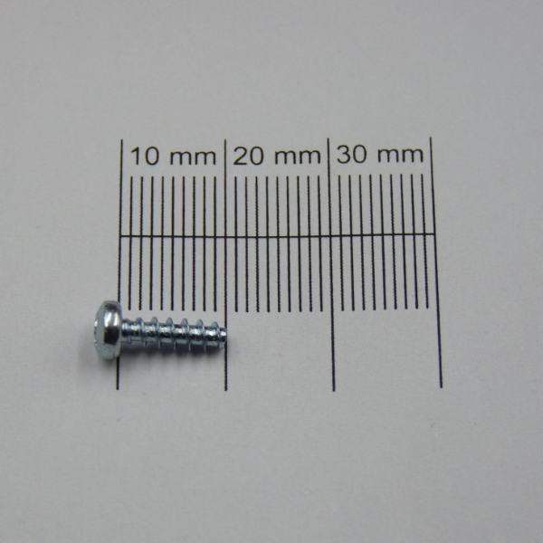 Holzschraube 10mm