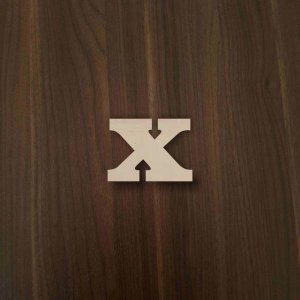 Buchstabe x