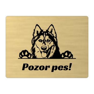 Schild Vorsicht Hund Husky