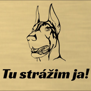 Schild Vorsicht Hund Dobermann 2