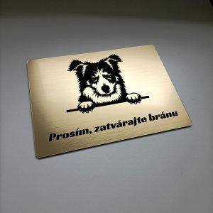 Schild Vorsicht Hund Border Collie