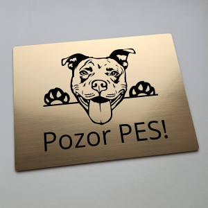 Schild Vorsicht Hund Pitbull cute