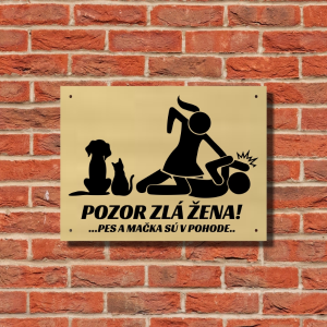 Schild Vorsicht bose Frau