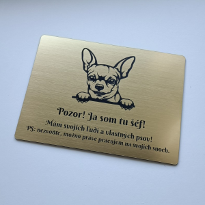 Schild Vorsicht Hund Chihuahua