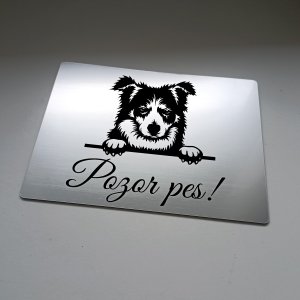 Schild Vorsicht Hund Border Collie