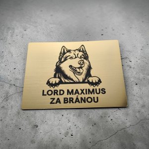 Warnschild Vorsicht Hund Alaskan Malamute